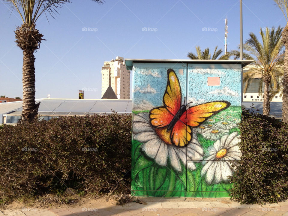 graffiti city flower sunny by carlacecilia