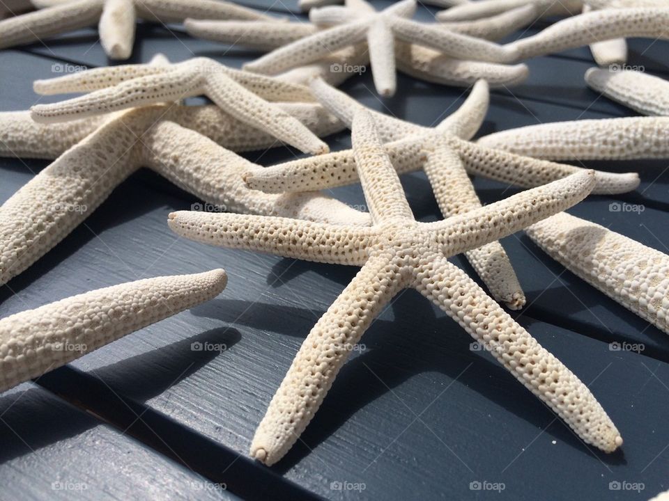 Starfish