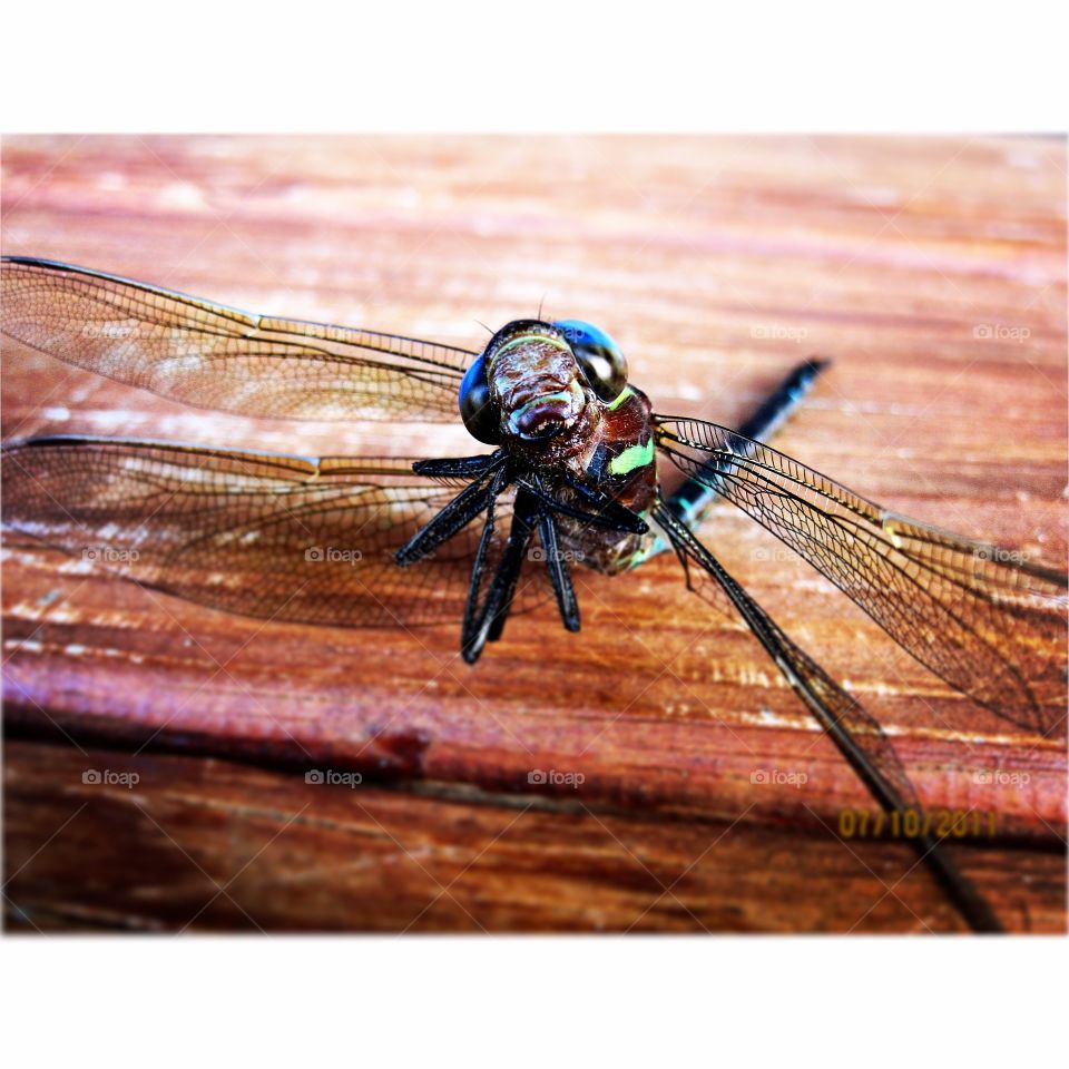 Strike a Pose. New friend striking a pose 