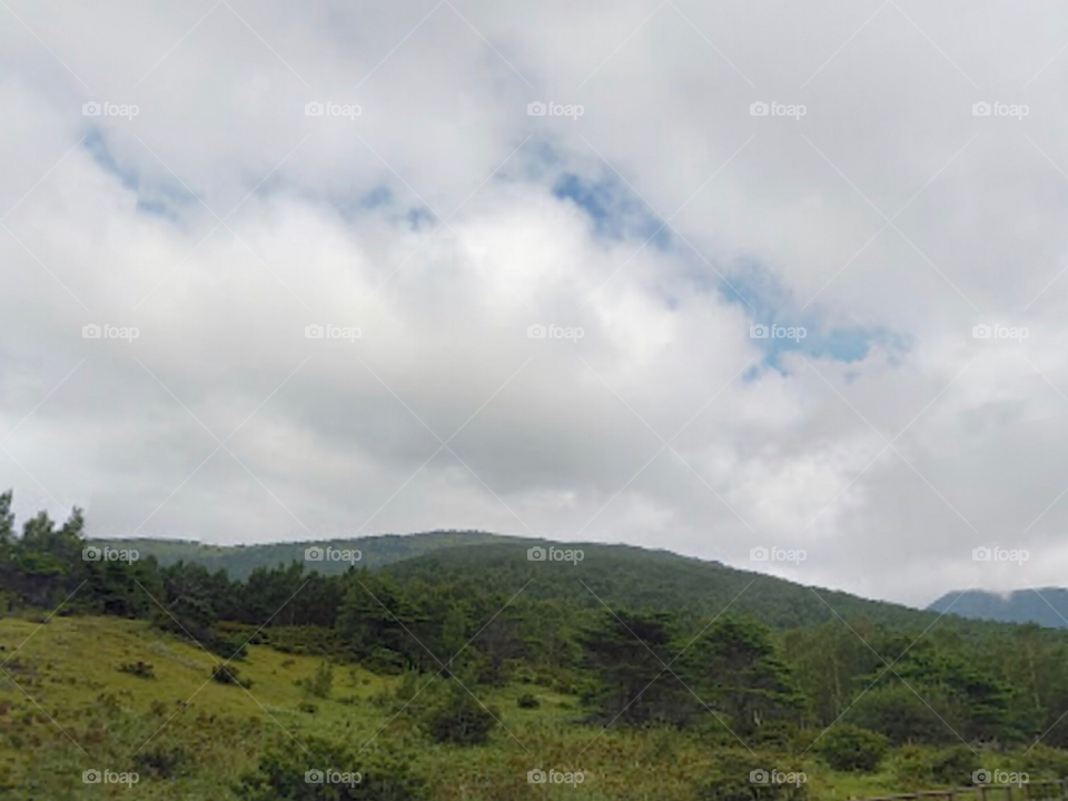 Красивый вид 