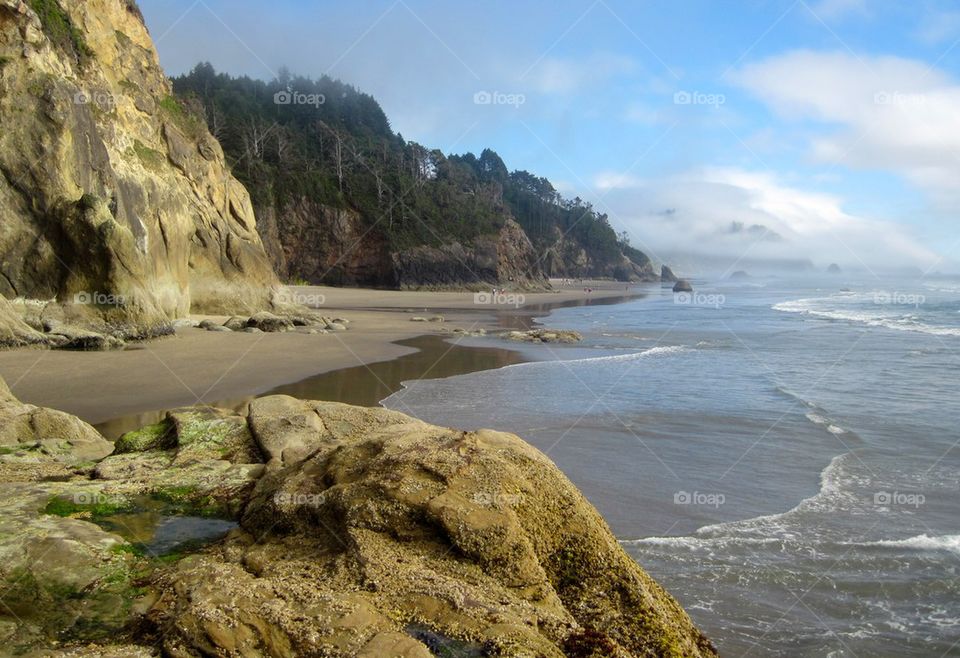 Oregon coast