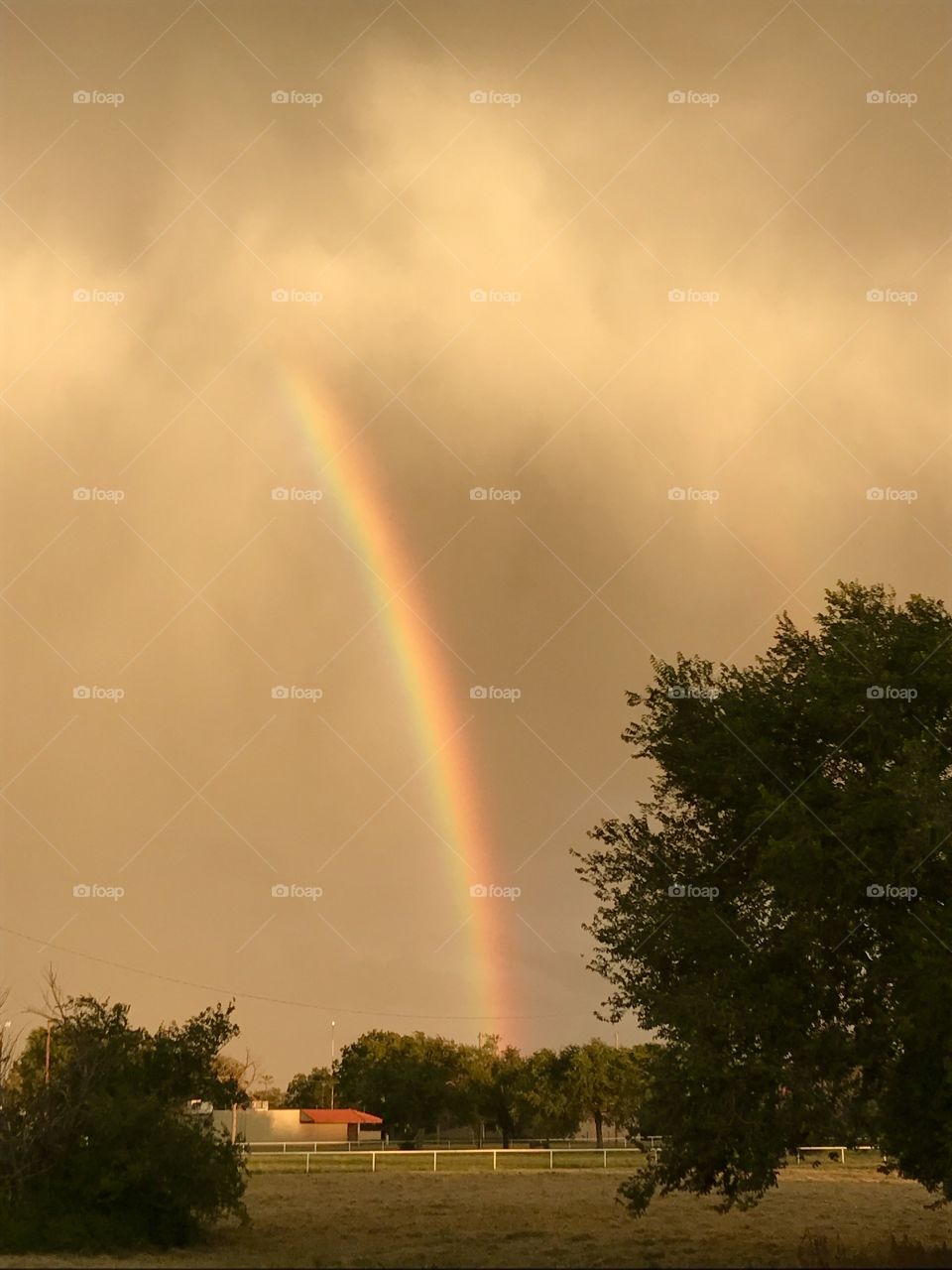 Promise within the gloom