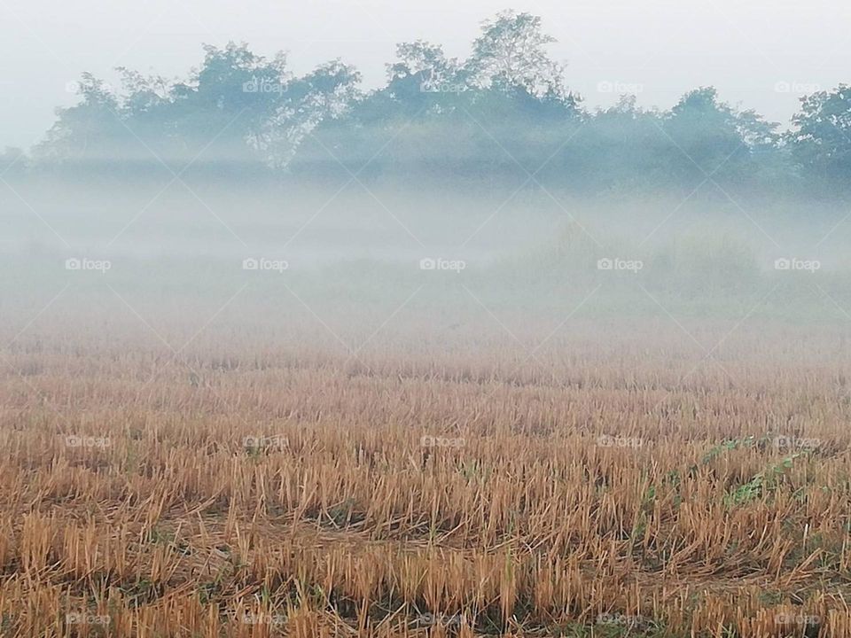 Editors ‘choice : Photo of the week, Countryside.