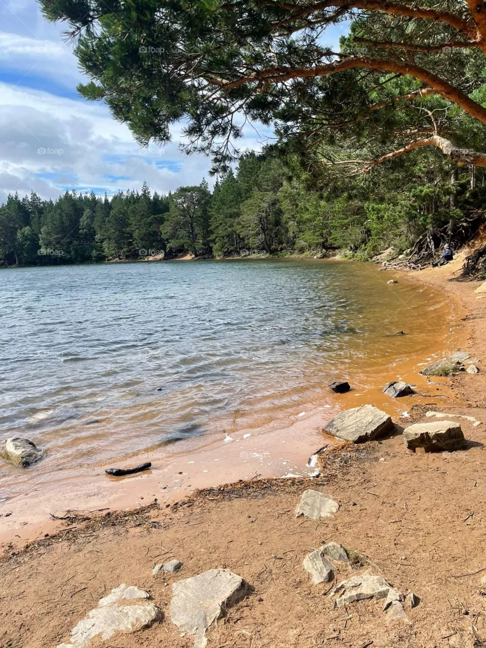 Scotland Aviemore