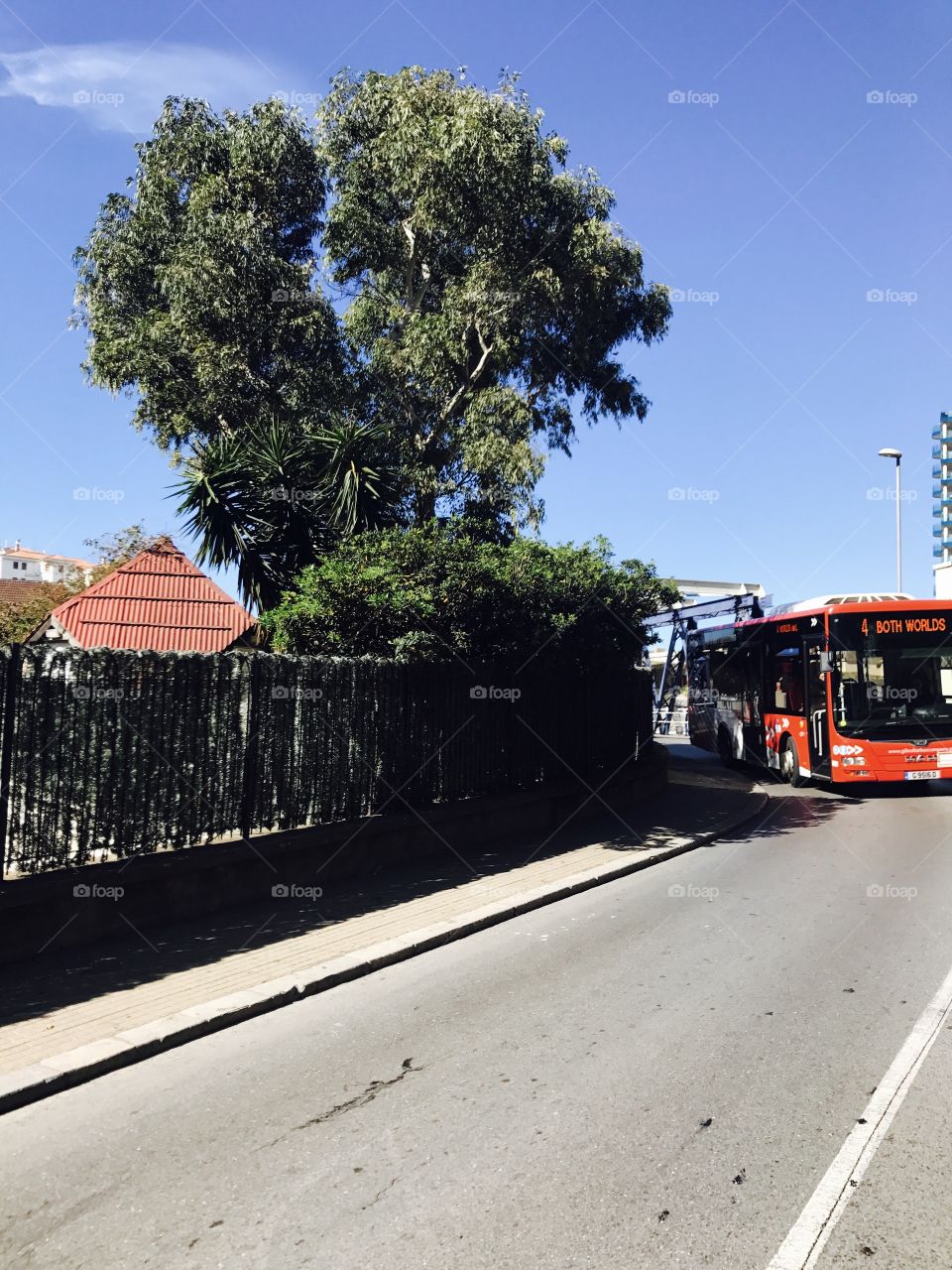 #road #bus #daylight