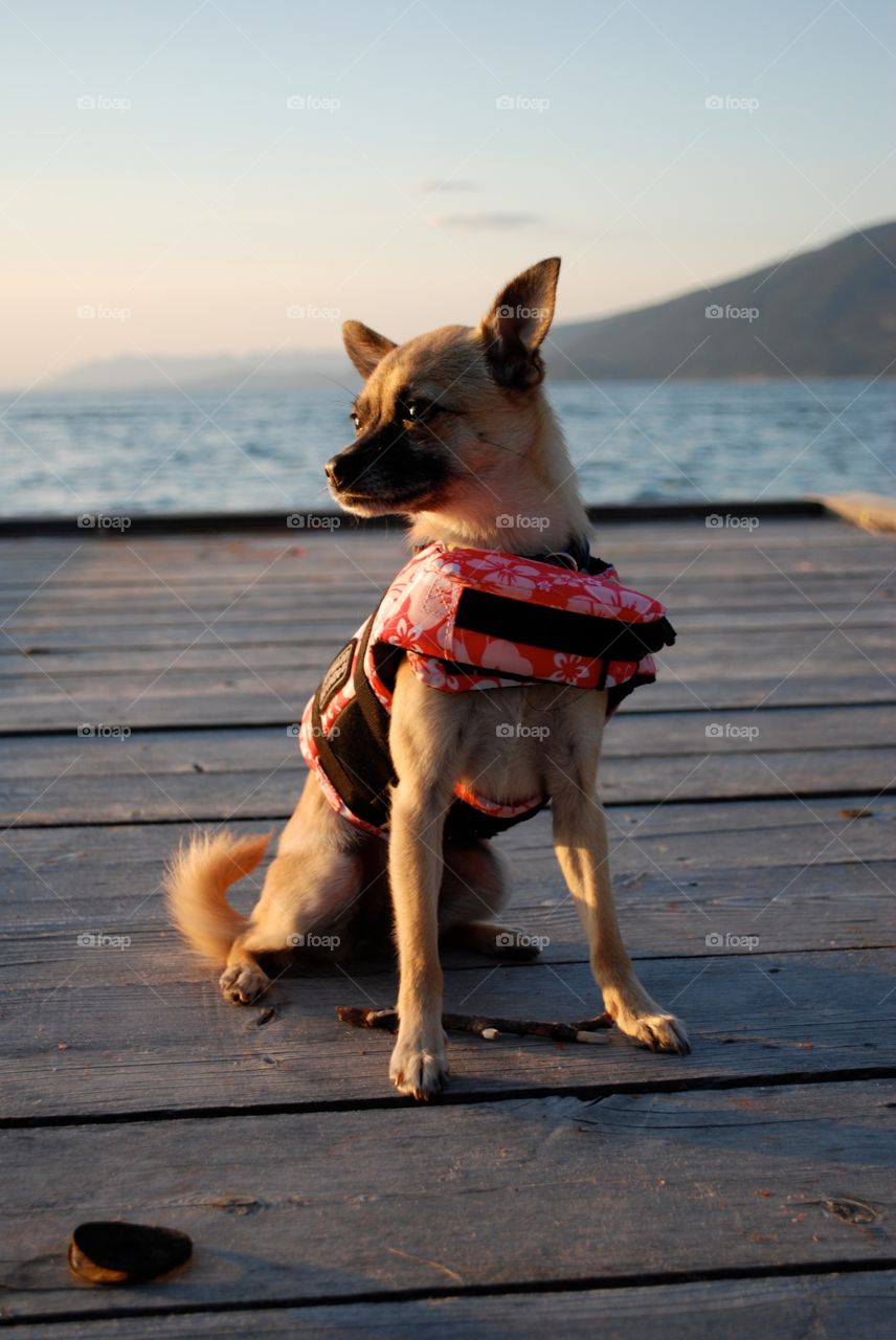 Lexi modeling her life vest 