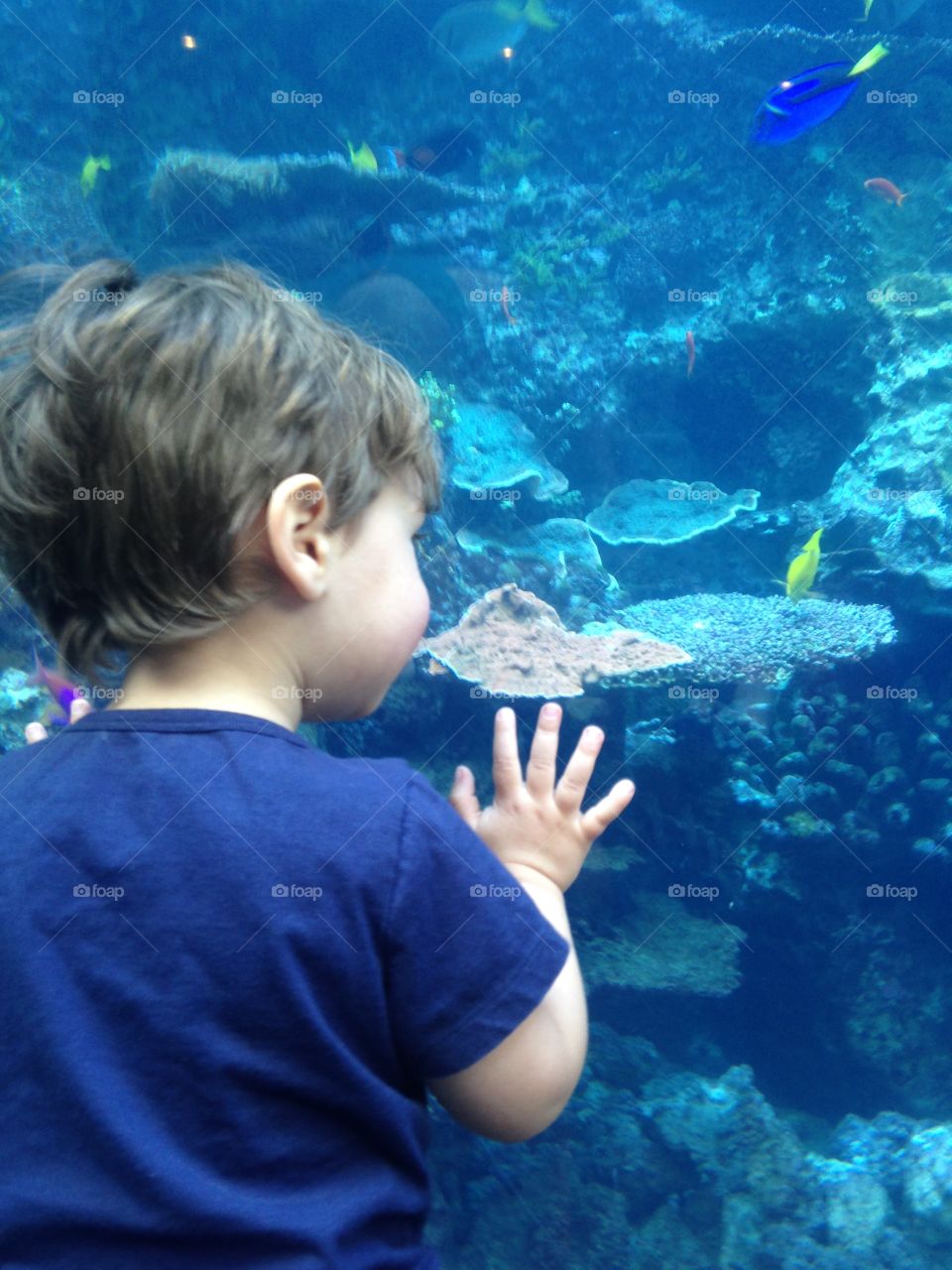 Child at the aquarium