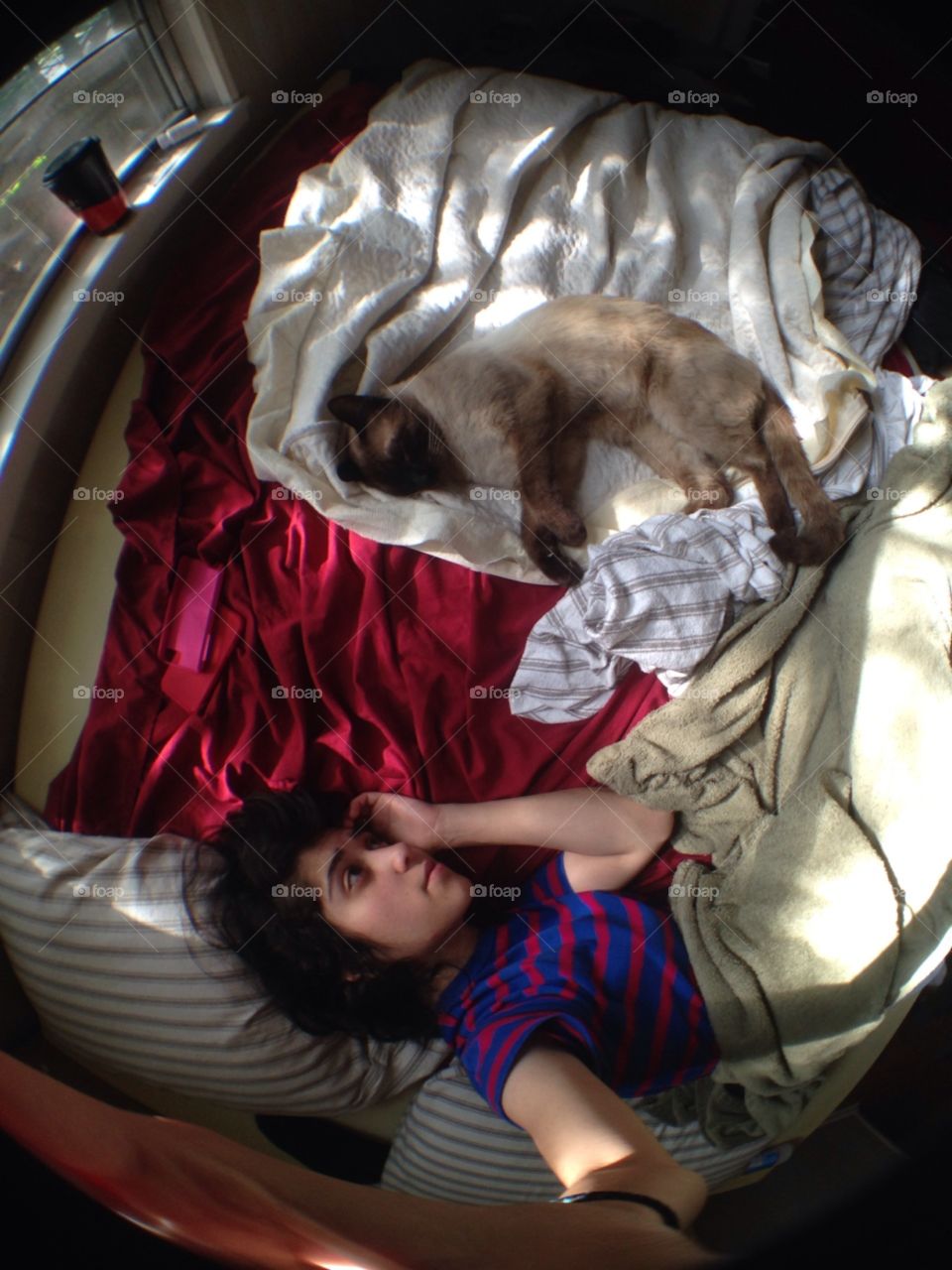 lazy dayz. summertime with my roomates Siamese cat 