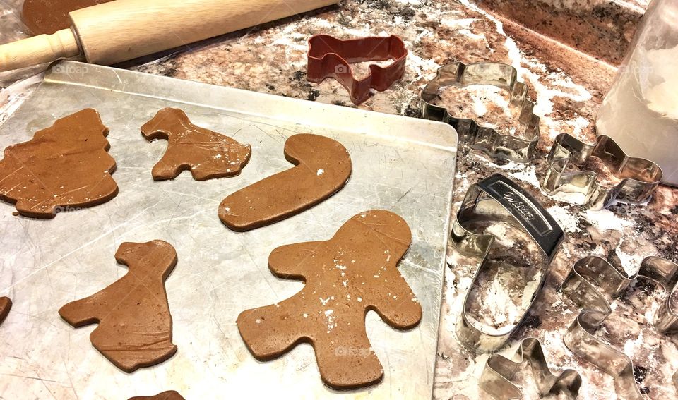 gingerbread cookie 3