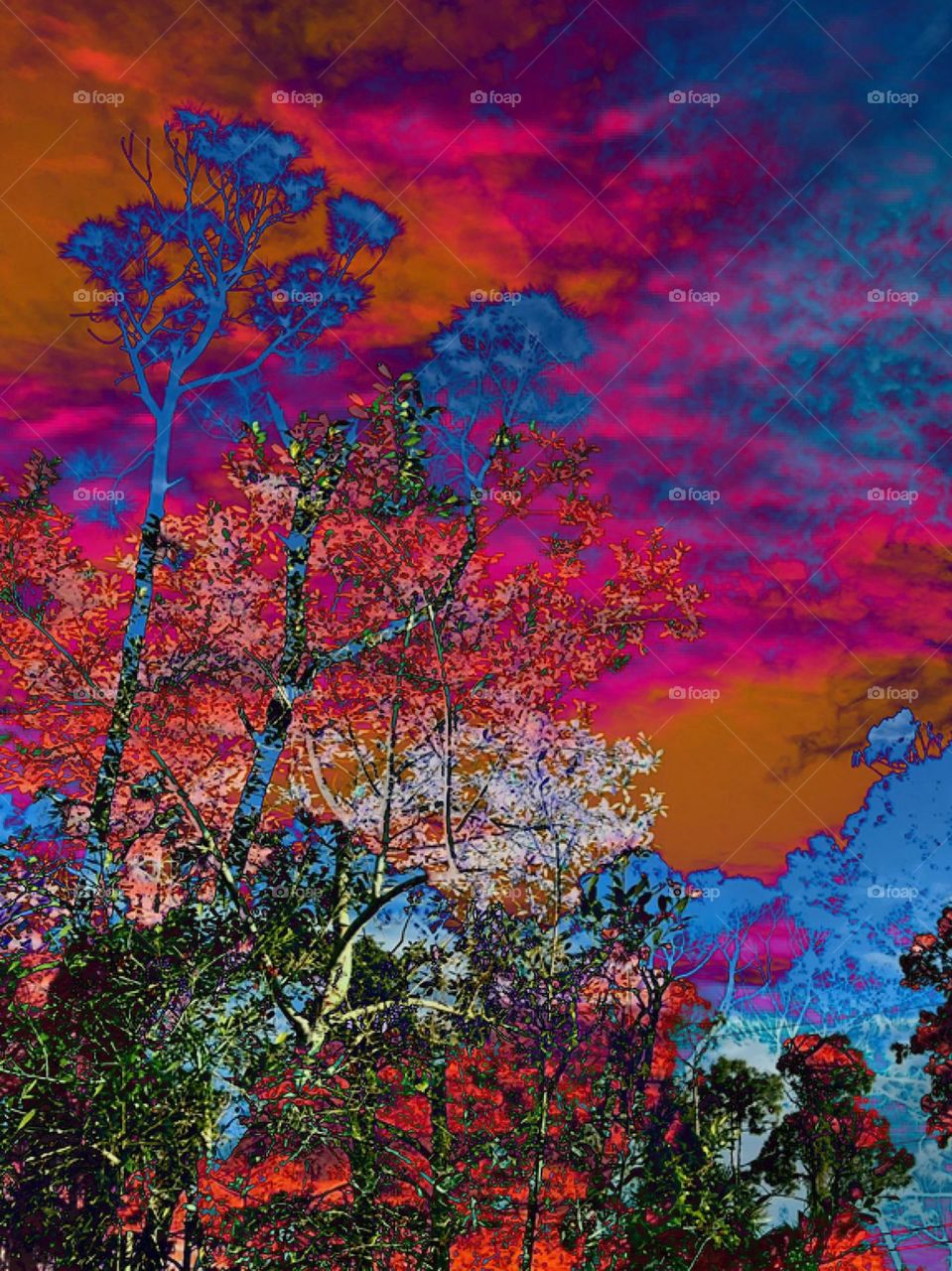 Psychedelic forest .