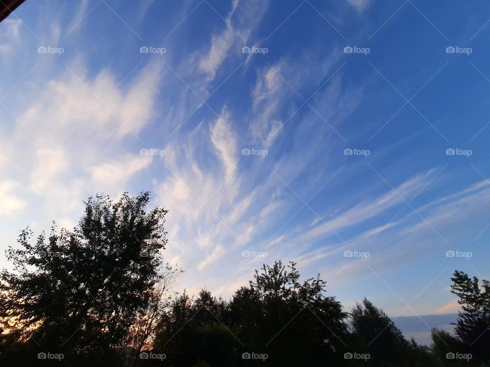 feathery clouds on the sky