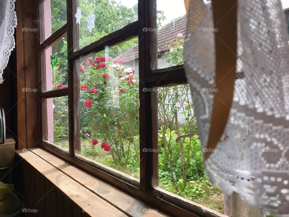 Sometimes just the simple moment of silence and joy at our home can bring us back to the right track. In life, you have to try to use what you have and try to make the best of what you got.