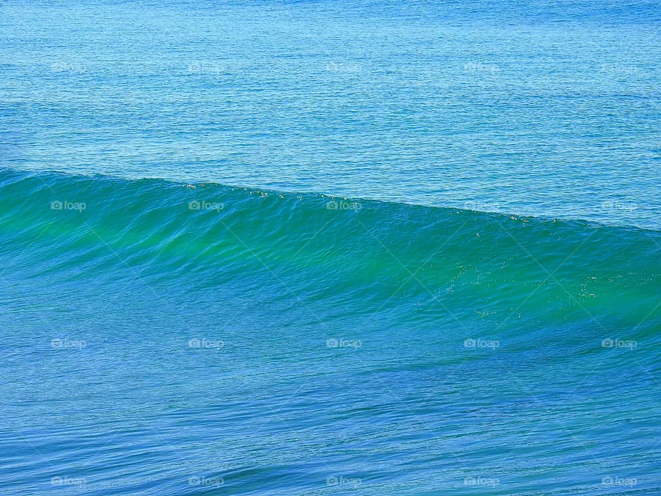 Ocean