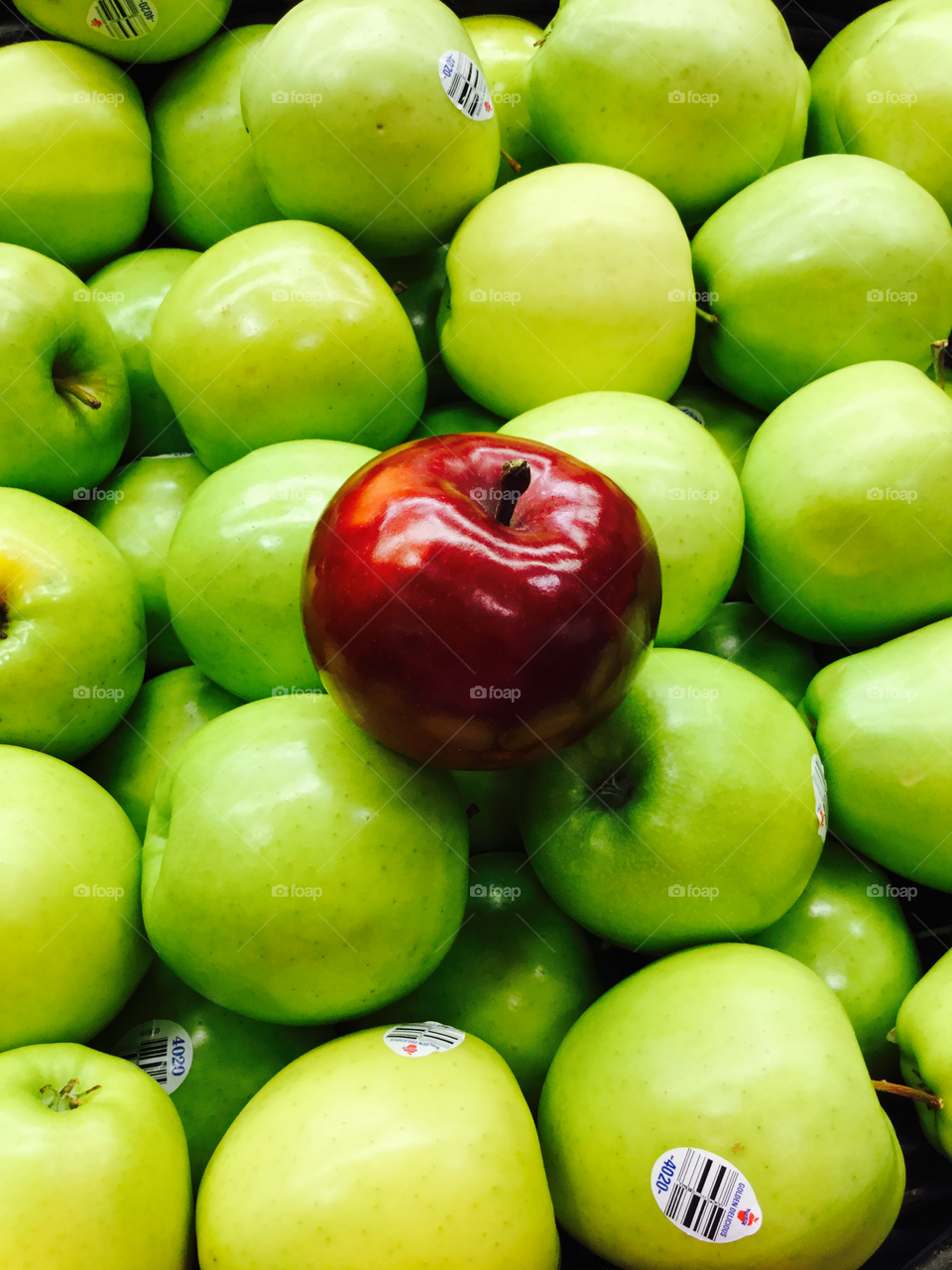 Red apple among the green apples.
