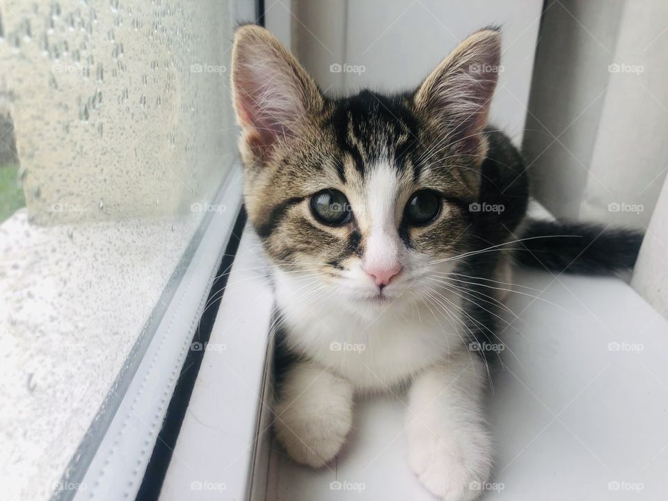 “Mummy I want to go out” but it’s raining 😔