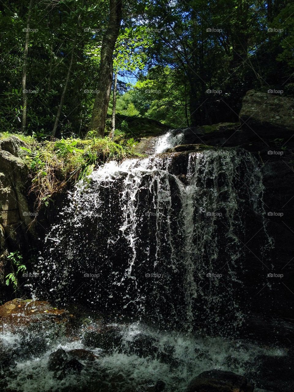 Waterfall Hikes