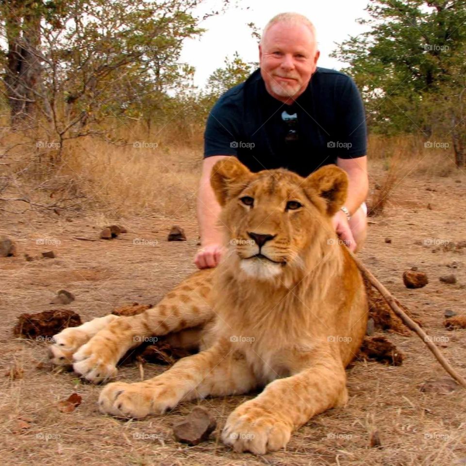 My walk with lions. Walk with lions in Zimbabwe, Africa

