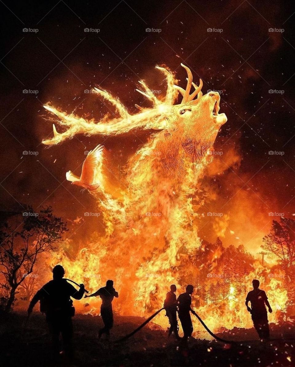 deer on fire