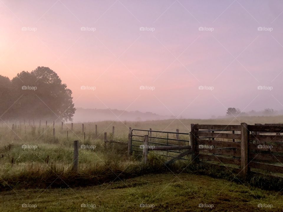 Dawn mist at daybreak over farm pasture 