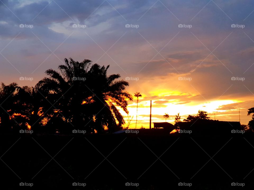 sunset image with blending flavour of palm trees, the beauty of nature