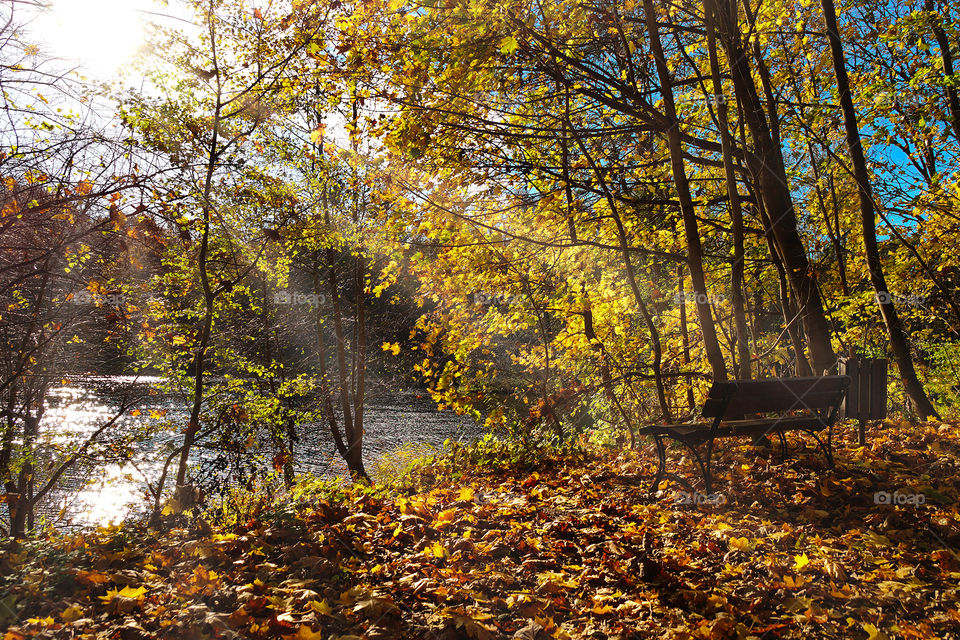 A ray of sun illuminates a lonely bench by the river in an autumn park