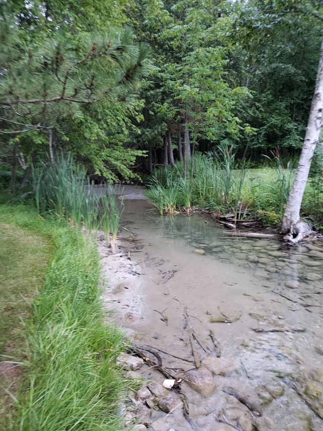 Helmer Creek