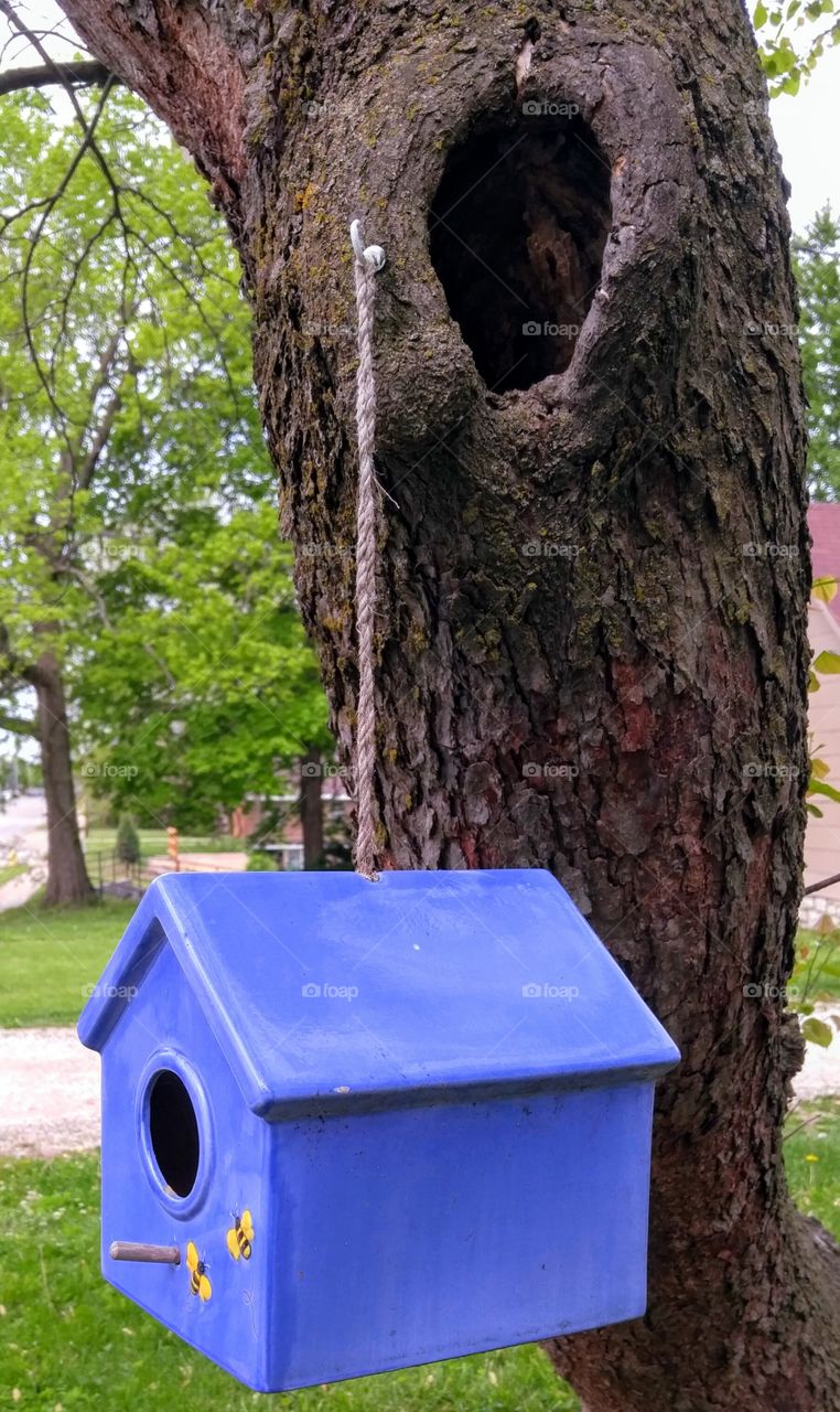 ceramic blue birdhouse