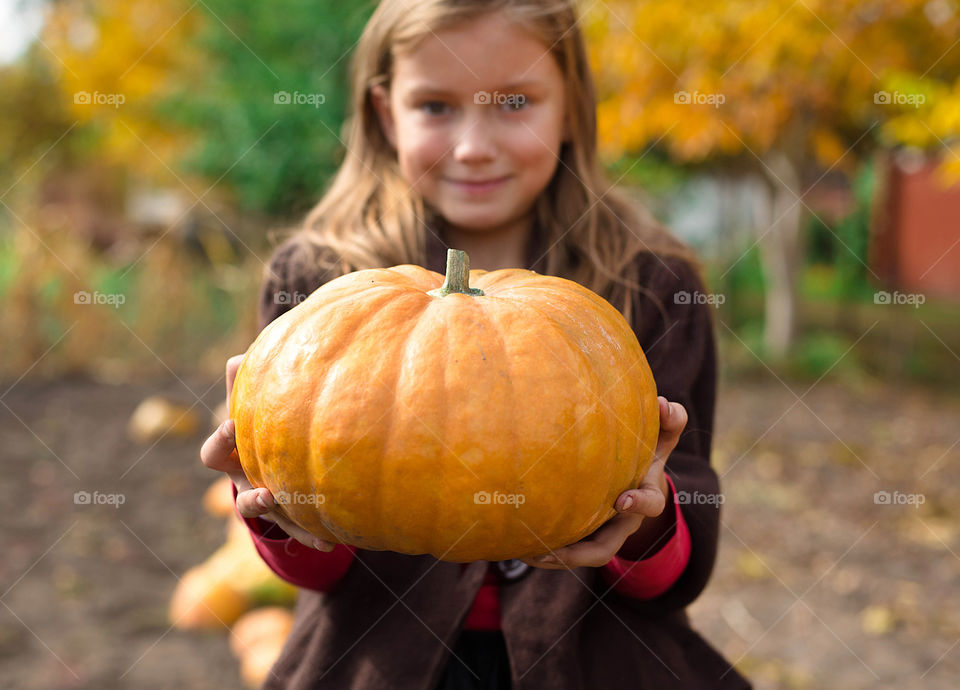 Fall, Pumpkin, Nature, Halloween, Thanksgiving
