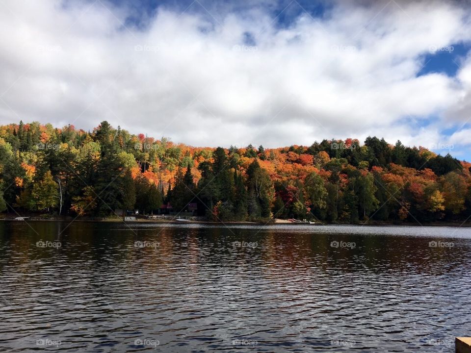 Mesmerizing Autumn of Canada 