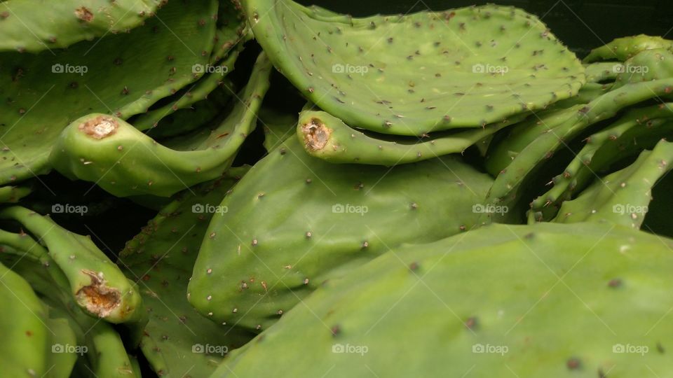 Green market cactus.