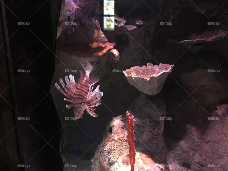 People, No Person, One, Cave, Painting