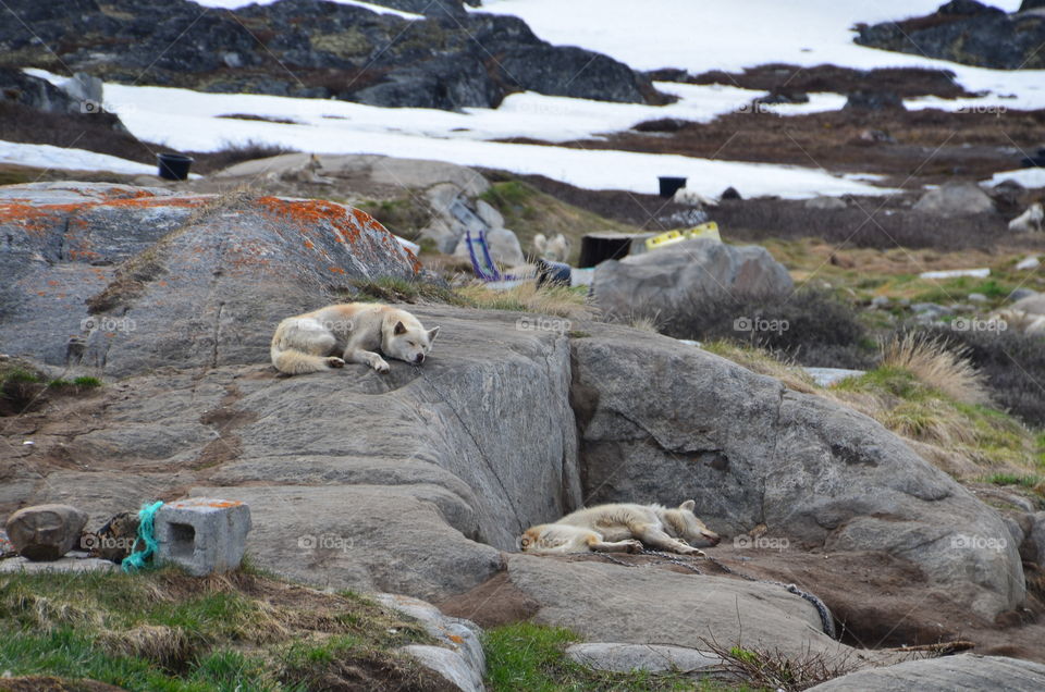 Greenland