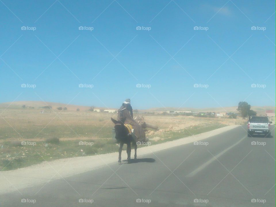 A man riding on a donkey