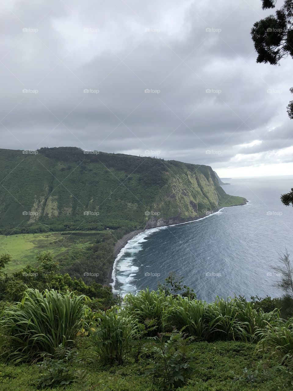 Scenic overlook of the ocean from a lookout