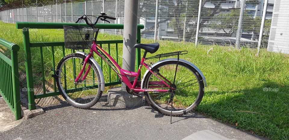 lonely pink colour bicycle and greenery