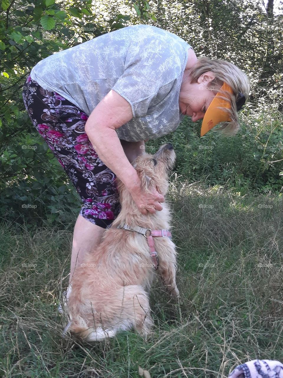 dog and human in harmony