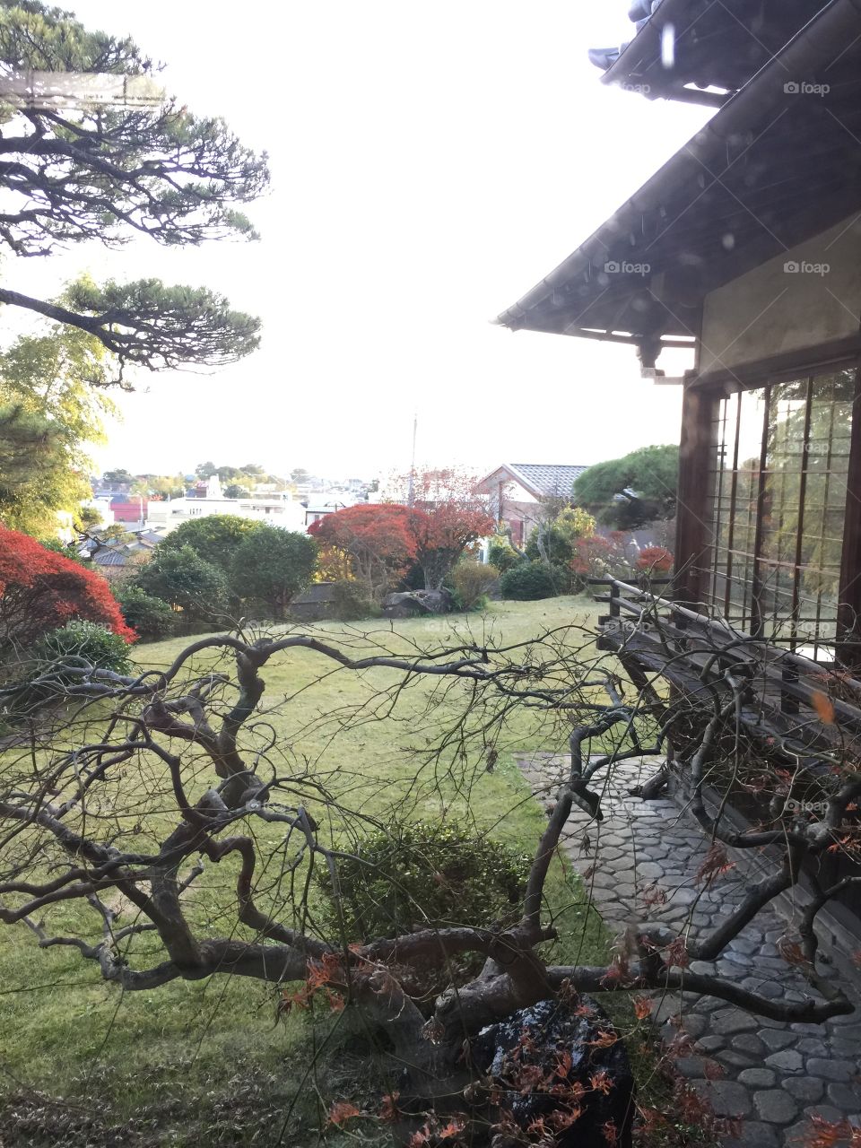"Seikantei" Japanese garden