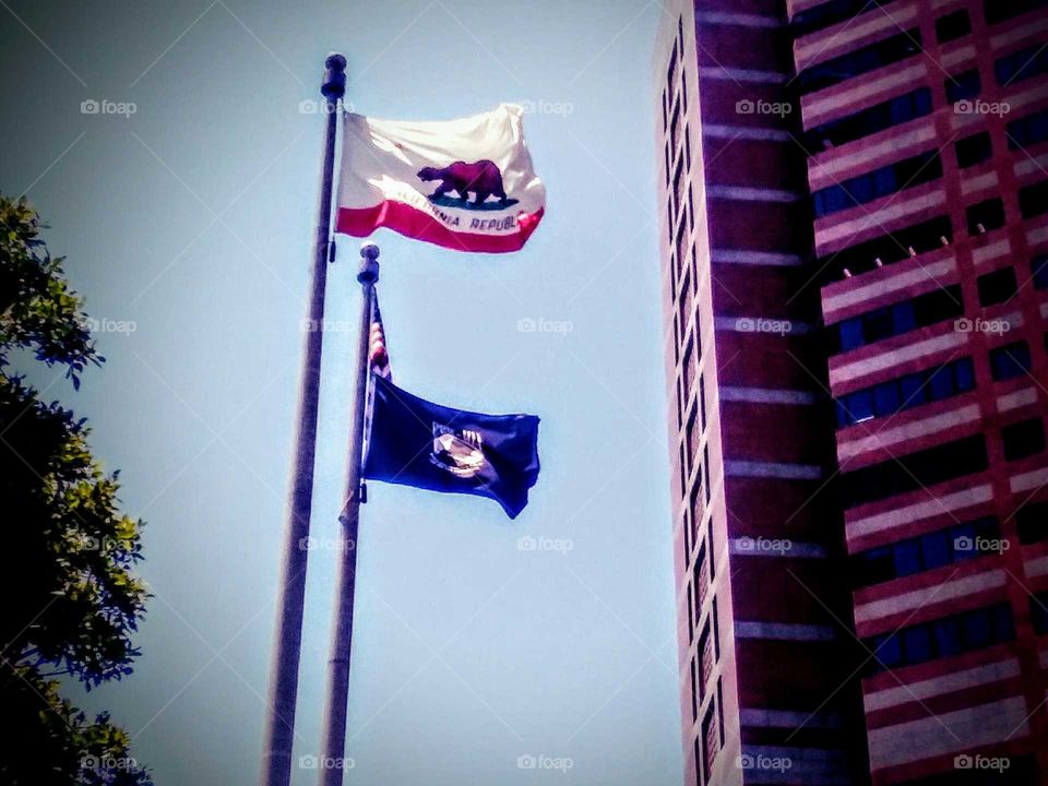 Retro Veterans Affairs Flags