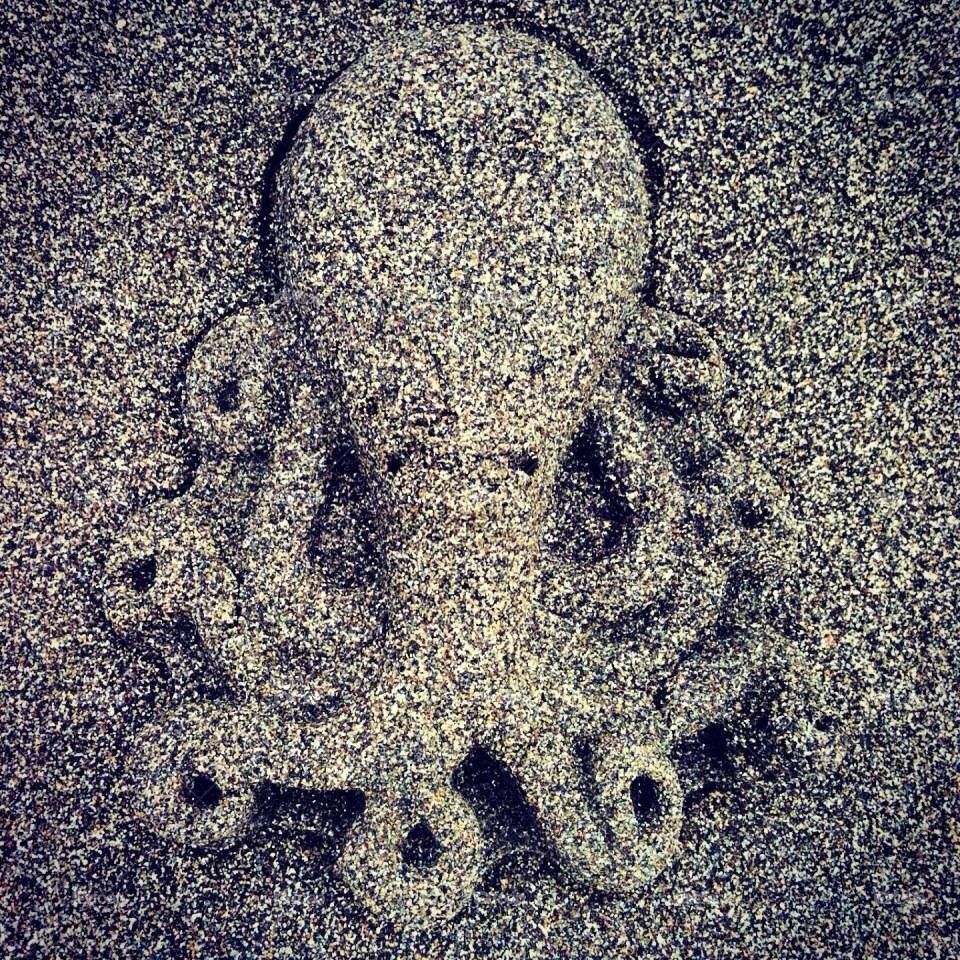 Beach octopus 