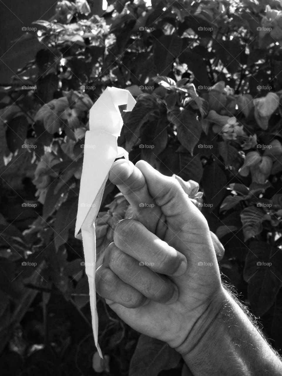 Cuz' if I was a bird...