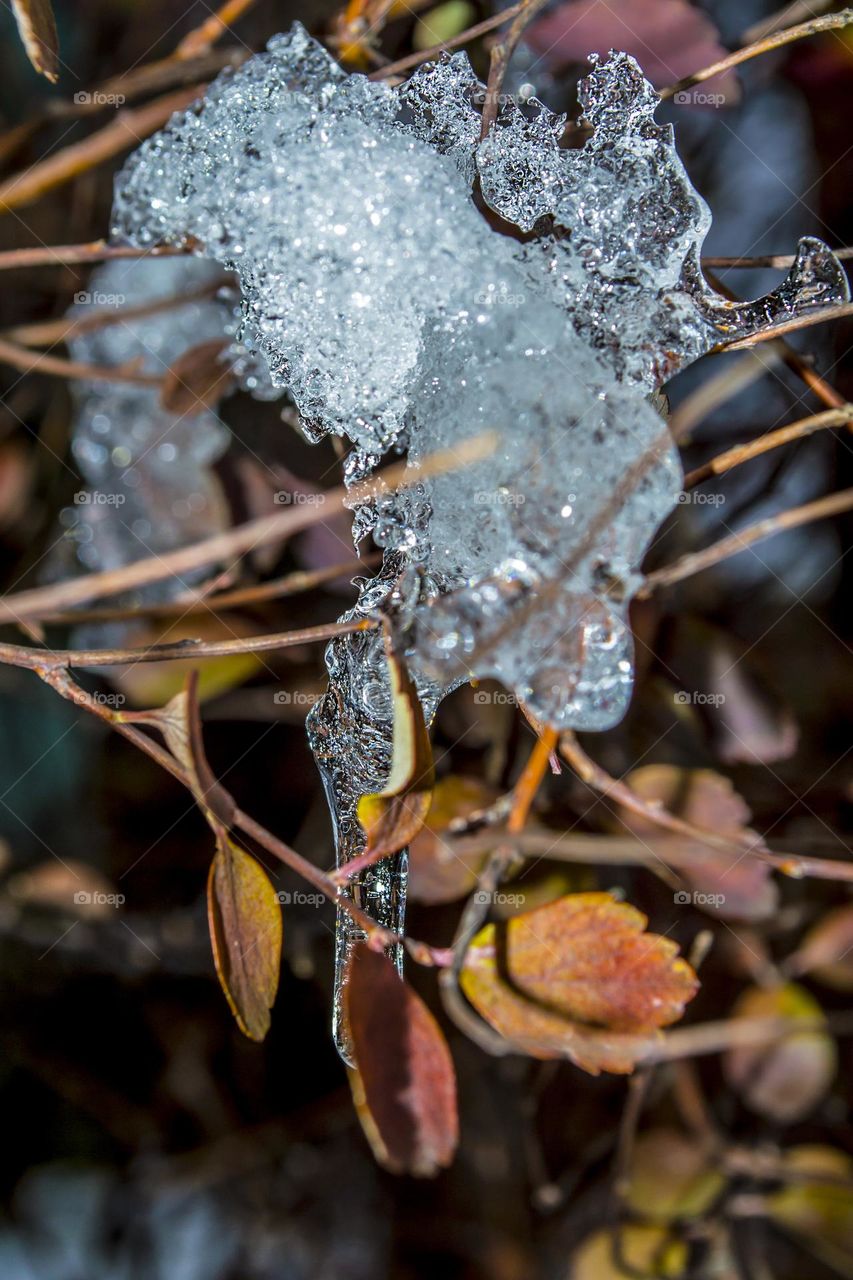 Icicle.