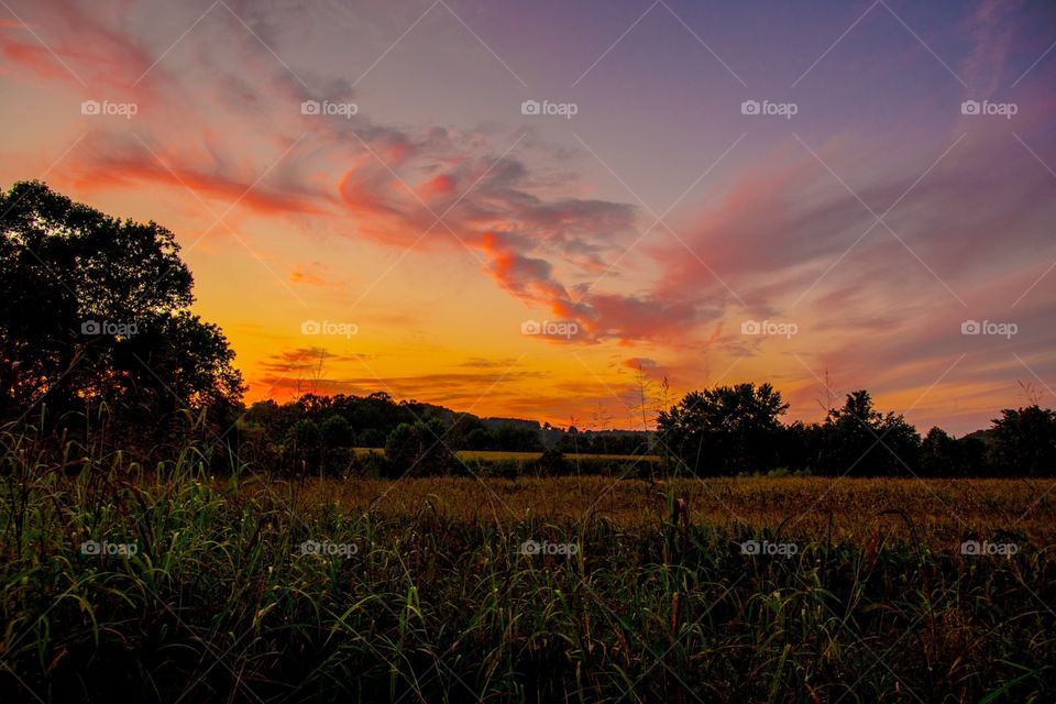 Country sunset 