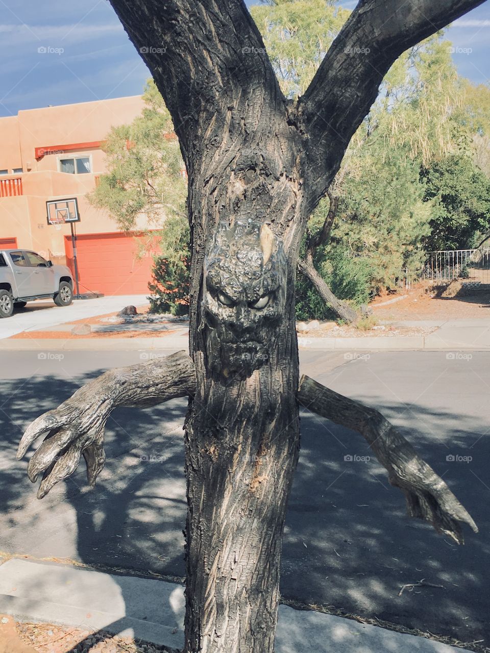 Haunted tree