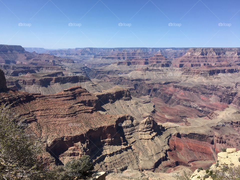The arid and rugged landscape of the Grand Canyon.