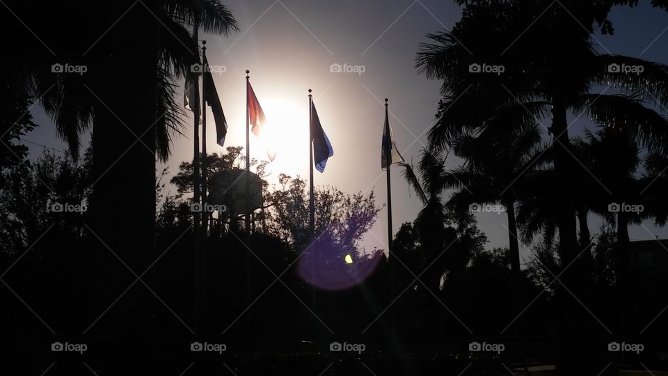 Flags of our Military in the sunset.