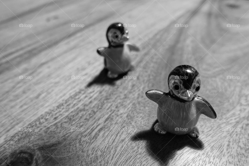 Ornaments of two penguins. Monochromatic image.