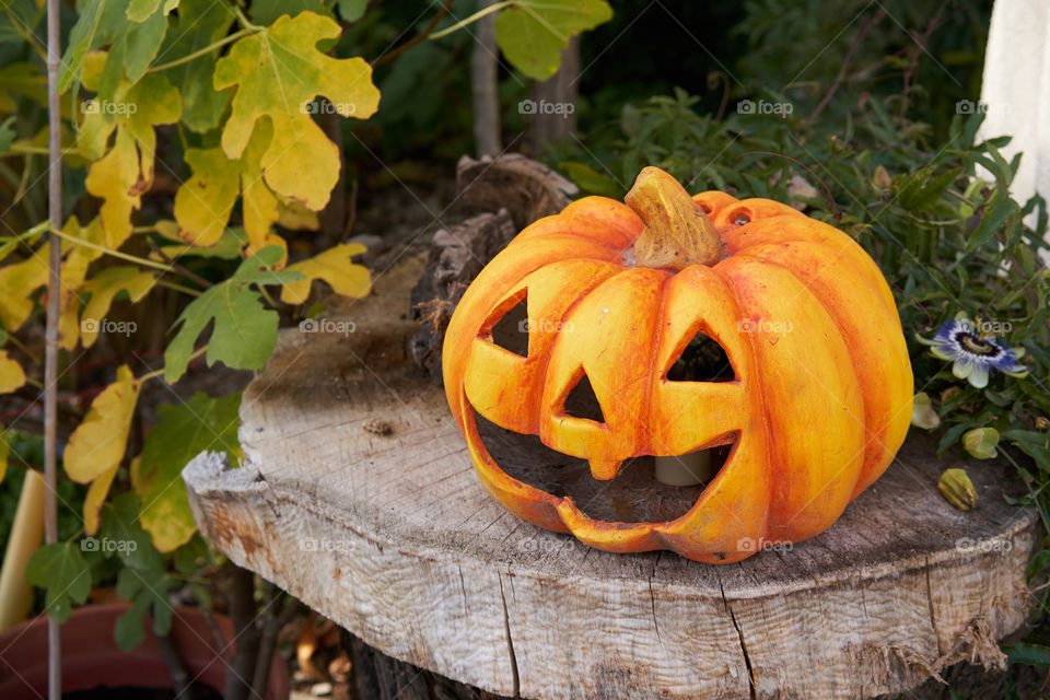 Halloween Pumpkin 