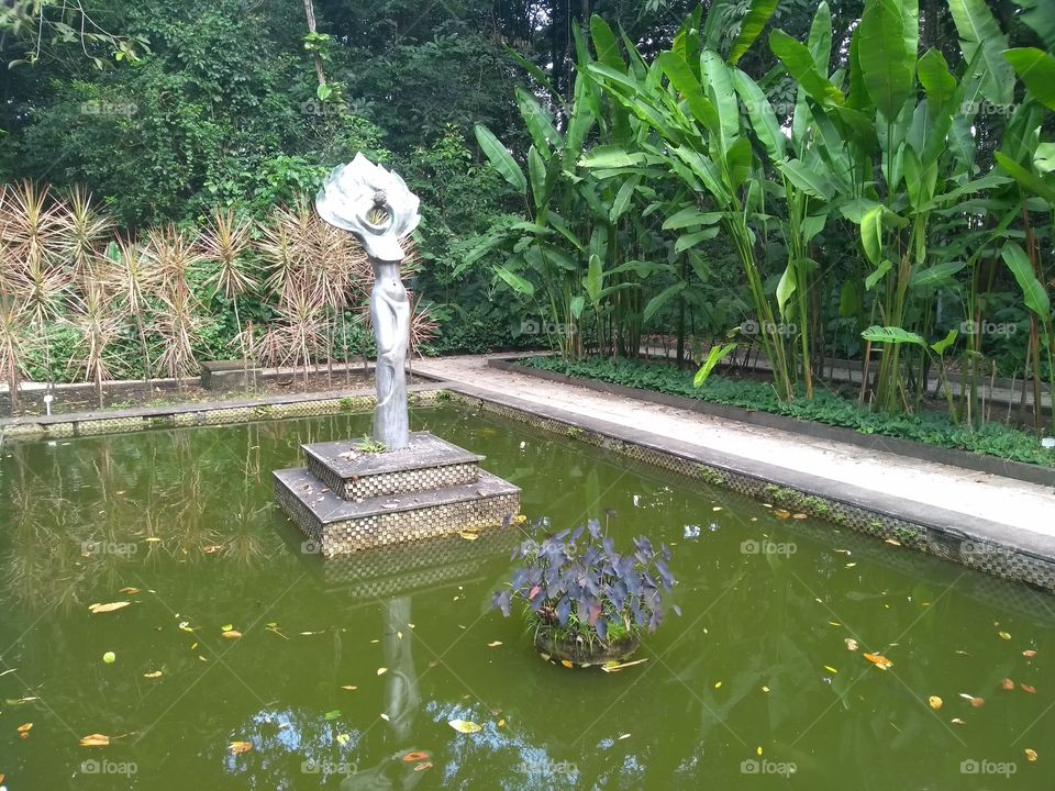 Jardim botânico