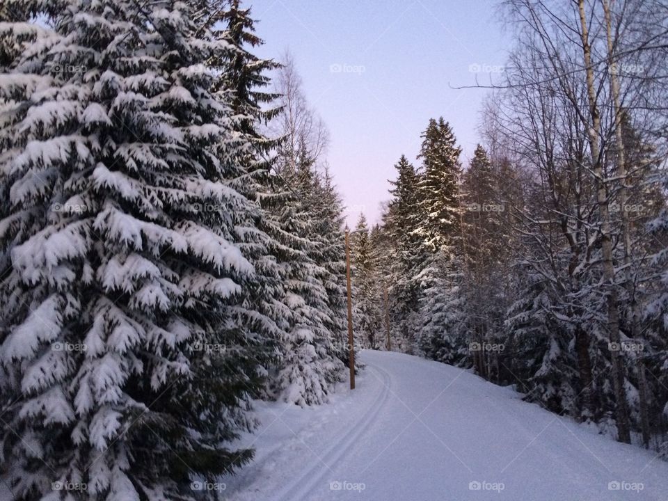 Skiing track in the Winter in Finnish Forrest #winter #snow #finland #skiing #crosscountry