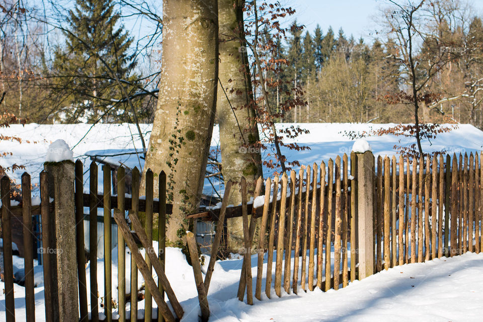 Broken fence 